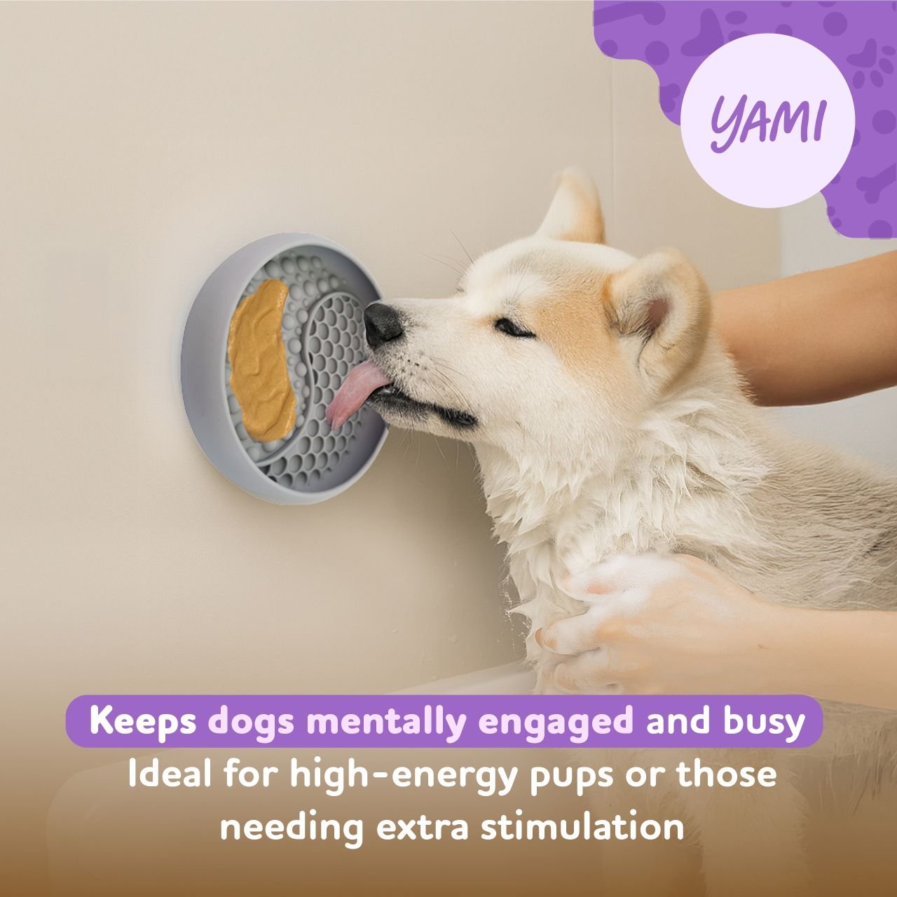 YAMI bowl suctioned to bathtub wall keeping dog calm during bath