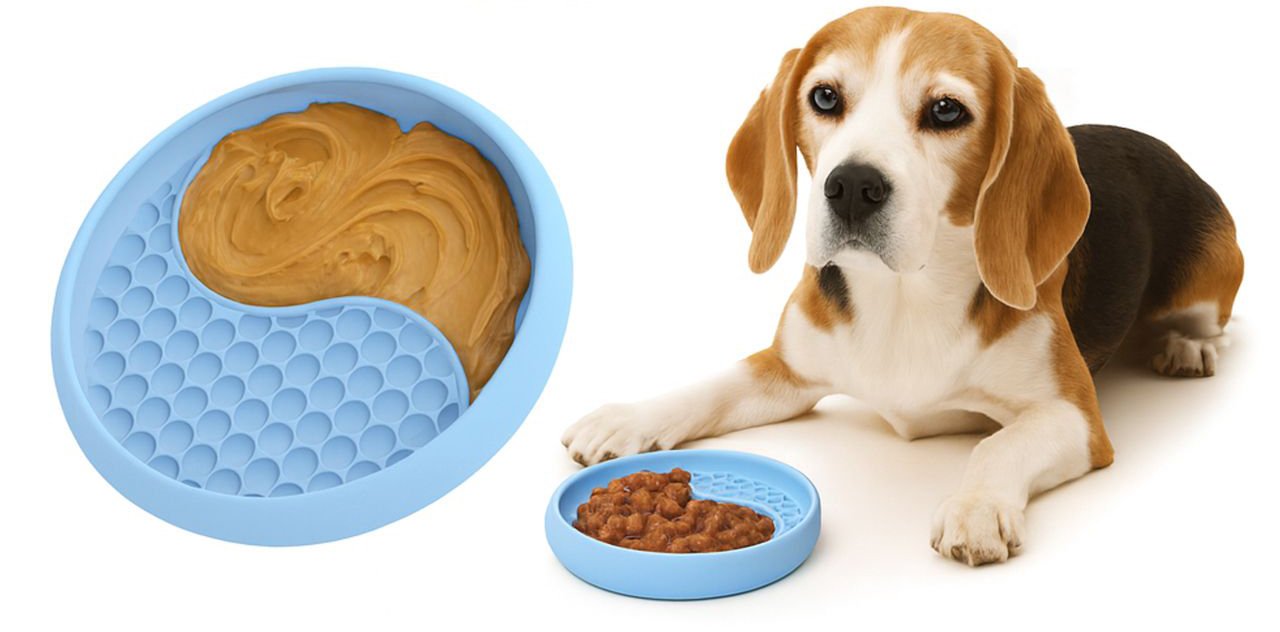 YAMI Blue with Beagle