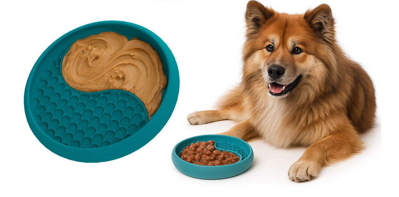 YAMI Teal with Golden Retriever