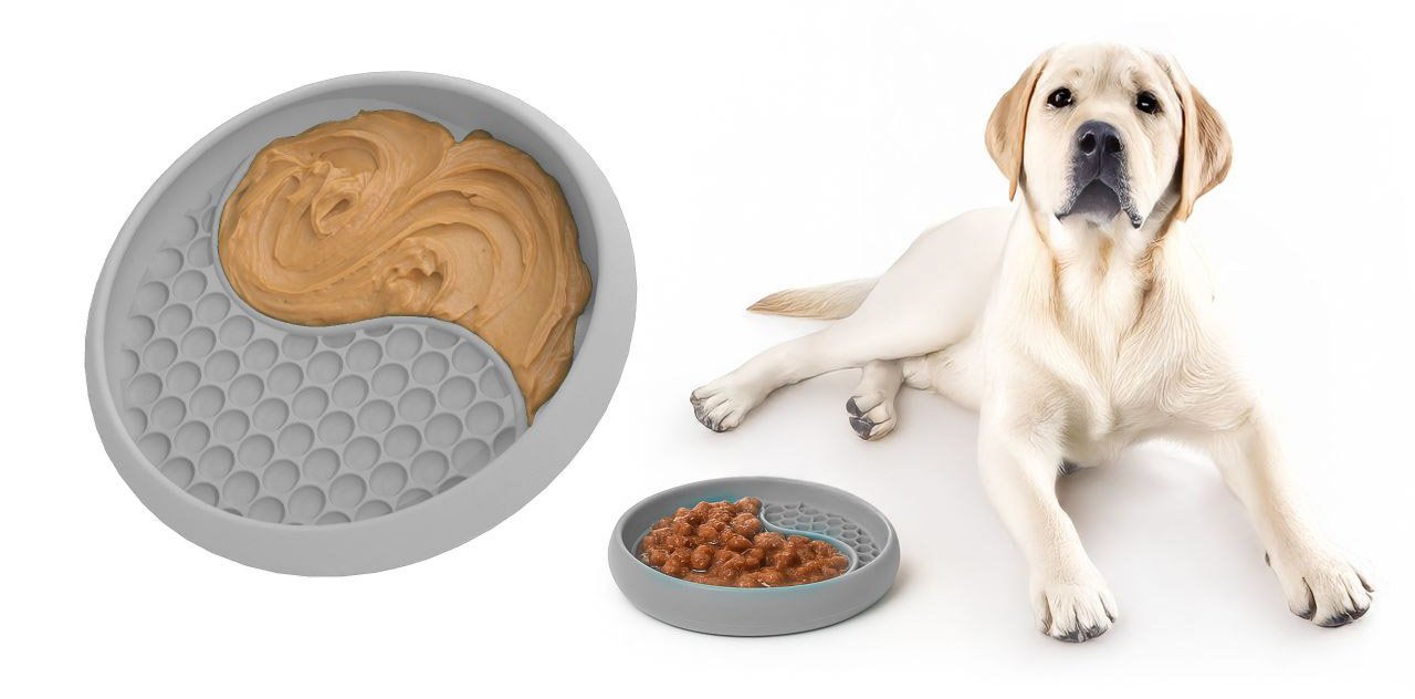 YAMI Grey with Labrador